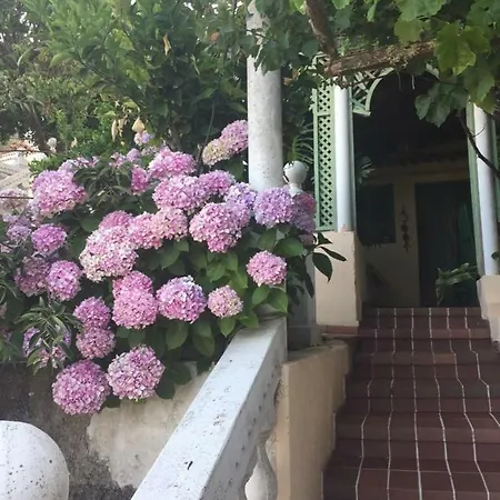 Apartment Main House “el Estanco 14” Vega de San Mateo